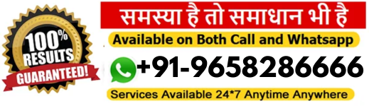 world famous Aghori Tantrik Vijay Ji +91-9658286666